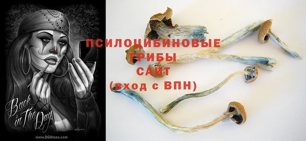 амфетамин Алексеевка