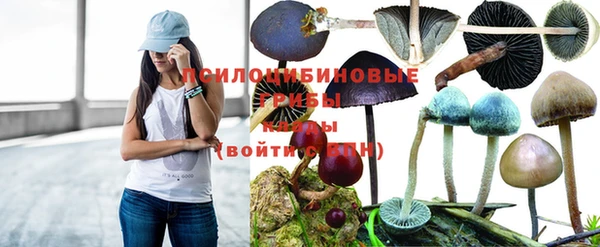 кокс Абдулино